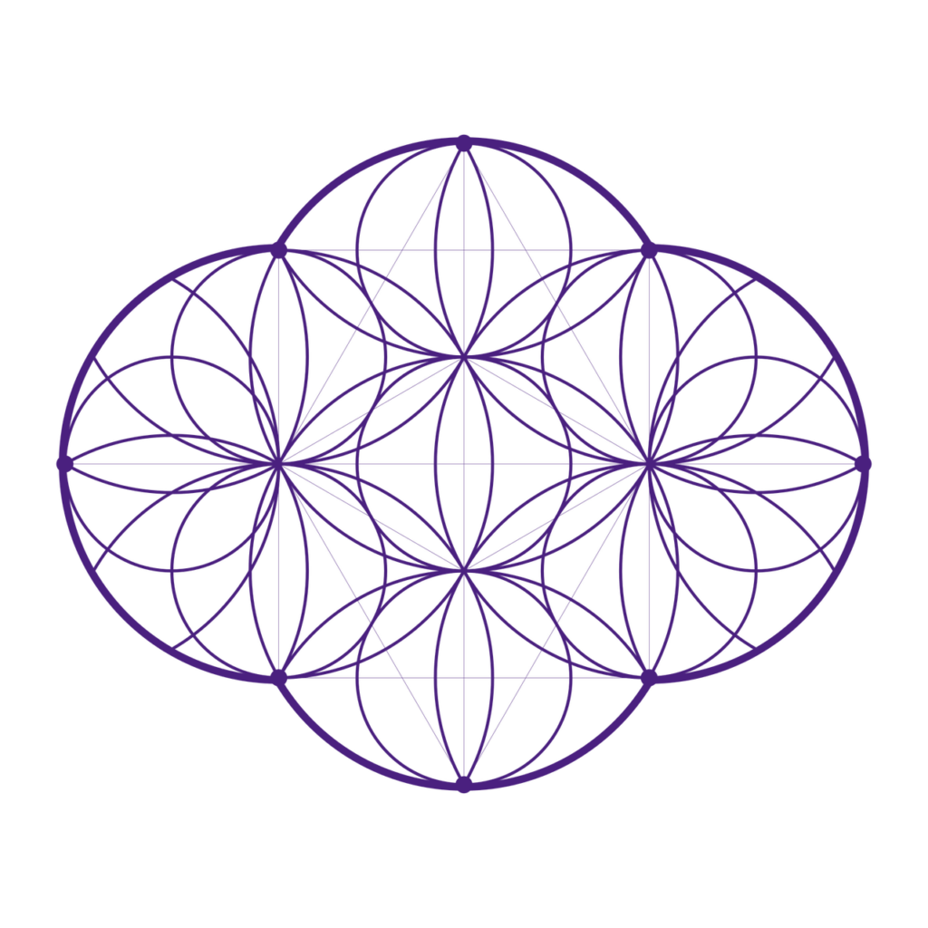 Geometric illustration featuring overlapping circular patterns in dark blue on a green background, illustrating mathematical beauty and symmetry.