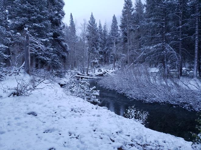 A snow-covered river flows through a landscape of trees blanketed in white snow.